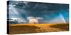 Gold and Thunder-Stefan Hefele-Stretched Canvas