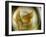 Gold Angel-Ursula Abresch-Framed Photographic Print