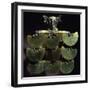 Gold Anthropomorphic Pendant-null-Framed Giclee Print