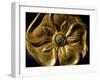 Gold Artifact from Tillya Tepe, Elements of Greek, Indian, Asian culture-Kenneth Garrett-Framed Photographic Print