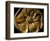 Gold Artifact from Tillya Tepe, Elements of Greek, Indian, Asian culture-Kenneth Garrett-Framed Photographic Print