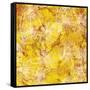 Gold Background with White Floral-Bee Sturgis-Framed Stretched Canvas