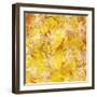 Gold Background with White Floral-Bee Sturgis-Framed Art Print