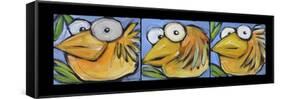 Gold Bird Trio-Tim Nyberg-Framed Stretched Canvas