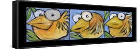 Gold Bird Trio-Tim Nyberg-Framed Stretched Canvas