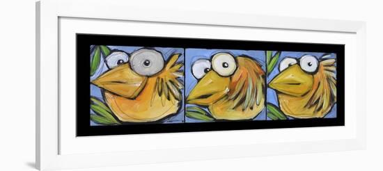 Gold Bird Trio-Tim Nyberg-Framed Giclee Print