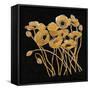 Gold Black Line Poppies I v2-Shirley Novak-Framed Stretched Canvas