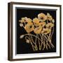 Gold Black Line Poppies I v2-Shirley Novak-Framed Art Print