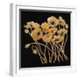 Gold Black Line Poppies I v2-Shirley Novak-Framed Art Print