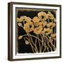 Gold Black Line Poppies I-Shirley Novak-Framed Art Print