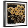 Gold Black Line Poppies I-Shirley Novak-Framed Art Print