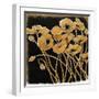 Gold Black Line Poppies I-Shirley Novak-Framed Art Print