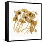 Gold Black Line Poppies II-Shirley Novak-Framed Stretched Canvas