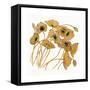 Gold Black Line Poppies II-Shirley Novak-Framed Stretched Canvas