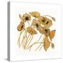 Gold Black Line Poppies II-Shirley Novak-Stretched Canvas