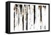 Gold Black Woods-OnRei-Framed Stretched Canvas