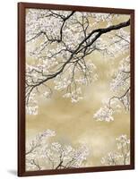 Gold Blossom Tree, 2024-David Moore-Framed Art Print