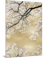 Gold Blossom Tree, 2024-David Moore-Mounted Art Print