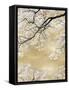 Gold Blossom Tree, 2024-David Moore-Framed Stretched Canvas