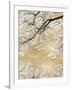 Gold Blossom Tree, 2024-David Moore-Framed Art Print