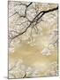 Gold Blossom Tree, 2024-David Moore-Mounted Art Print