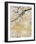 Gold Blossom Tree, 2024-David Moore-Framed Art Print