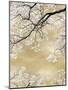 Gold Blossom Tree, 2024-David Moore-Mounted Art Print