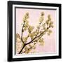 Gold Blossoms on Pink II-Kate Bennett-Framed Art Print