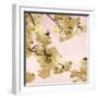Gold Blossoms on Pink III-Kate Bennett-Framed Art Print
