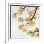 Gold Blossoms on White II-Kate Bennett-Framed Art Print