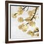 Gold Blossoms on White II-Kate Bennett-Framed Art Print