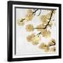 Gold Blossoms on White II-Kate Bennett-Framed Art Print