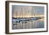 Gold & Blue-Danny Head-Framed Photographic Print