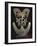 Gold Breast Plat, Colombia, Quimbaya Civilization-null-Framed Giclee Print