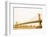 Gold Bridge-Erin Clark-Framed Giclee Print