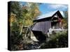 Gold Brook Bridge, Stowe, Vermont, USA-null-Stretched Canvas