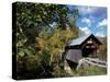 Gold Brook Bridge, Stowe, Vermont, USA-null-Stretched Canvas