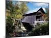 Gold Brook Bridge, Stowe, Vermont, USA-null-Mounted Photographic Print
