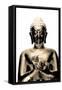 Gold Budda-Whoartnow-Framed Stretched Canvas