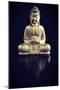 Gold Buddha on Black with Reflection-Tom Quartermaine-Mounted Giclee Print