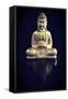 Gold Buddha on Black with Reflection-Tom Quartermaine-Framed Stretched Canvas