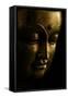 Gold Buddha on Black-Tom Quartermaine-Framed Stretched Canvas