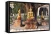 Gold Buddha Statues under Bodhi Tree, Shwezigon Paya (Pagoda), Nyaung U-Stephen Studd-Framed Stretched Canvas