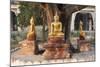 Gold Buddha Statues under Bodhi Tree, Shwezigon Paya (Pagoda), Nyaung U-Stephen Studd-Mounted Photographic Print
