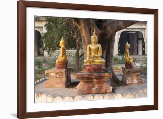 Gold Buddha Statues under Bodhi Tree, Shwezigon Paya (Pagoda), Nyaung U-Stephen Studd-Framed Photographic Print