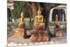 Gold Buddha Statues under Bodhi Tree, Shwezigon Paya (Pagoda), Nyaung U-Stephen Studd-Mounted Photographic Print