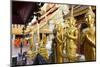 Gold Buddhas at Doi Suthep Temple, Chiang Mai, Thailand, Southeast Asia, Asia-Alex Robinson-Mounted Photographic Print