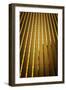 Gold Building-Philippe Sainte-Laudy-Framed Photographic Print