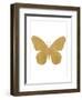 Gold Butterfly-Erin Clark-Framed Giclee Print