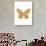 Gold Butterfly-Erin Clark-Giclee Print displayed on a wall